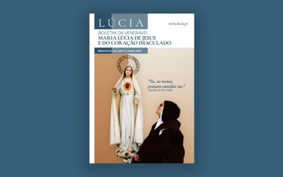 Boletim n.º 46