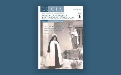 Boletim n.º 47